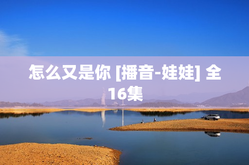 怎么又是你 [播音-娃娃] 全16集