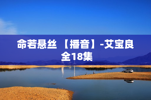 命若悬丝 【播音】-艾宝良 全18集