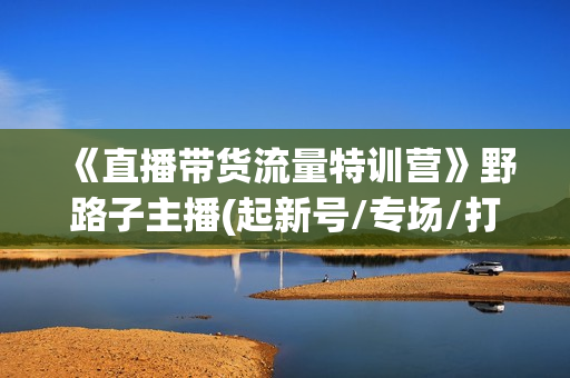 《直播带货流量特训营》野路子主播(起新号/专场/打榜/明星网红助博)