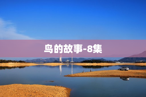 鸟的故事-8集