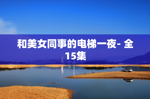 和美女同事的电梯一夜- 全15集