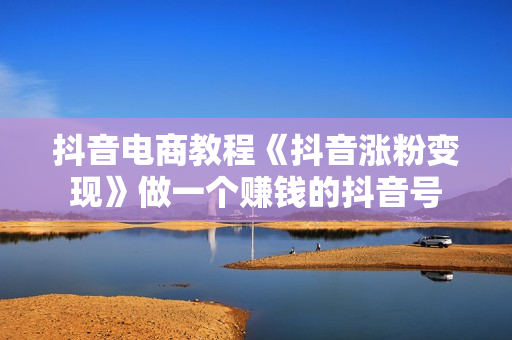 抖音电商教程《抖音涨粉变现》做一个赚钱的抖音号