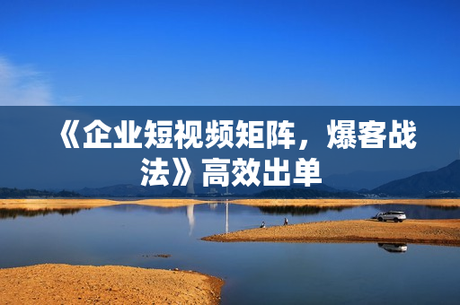 《企业短视频矩阵，爆客战法》高效出单