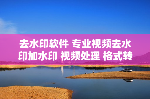 去水印软件 专业视频去水印加水印 视频处理 格式转换 视频合成