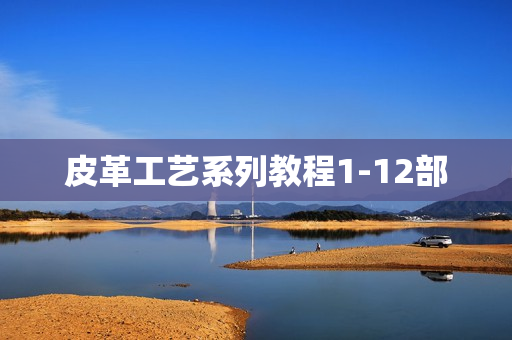 皮革工艺系列教程1-12部