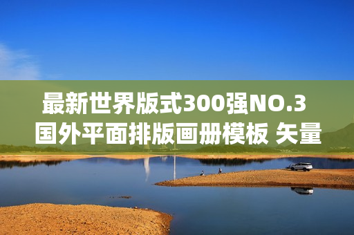 最新世界版式300强NO.3 国外平面排版画册模板 矢量PSD分层设计素材(tbd)