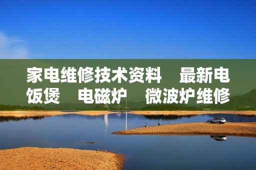 家电维修技术资料　最新电饭煲　电磁炉　微波炉维修视频教程大全