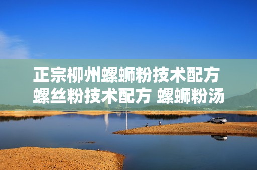正宗柳州螺蛳粉技术配方 螺丝粉技术配方 螺蛳粉汤配菜制作包学会（视频+PDF教程）