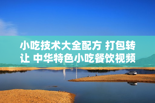 小吃技术大全配方 打包转让 中华特色小吃餐饮视频资料教程 100G