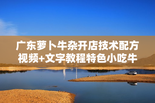 广东萝卜牛杂开店技术配方视频+文字教程特色小吃牛杂做法包学会