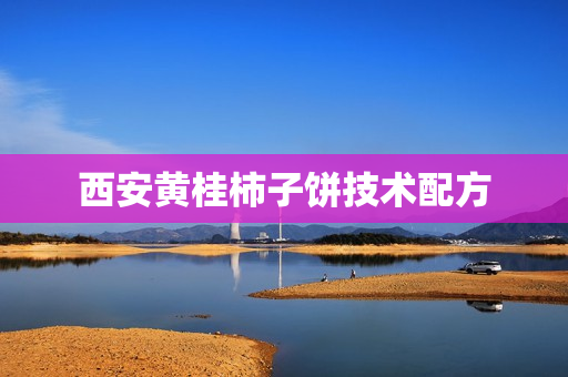西安黄桂柿子饼技术配方