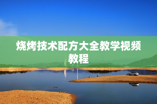 烧烤技术配方大全教学视频教程