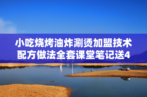 小吃烧烤油炸涮烫加盟技术配方做法全套课堂笔记送4DVD视频