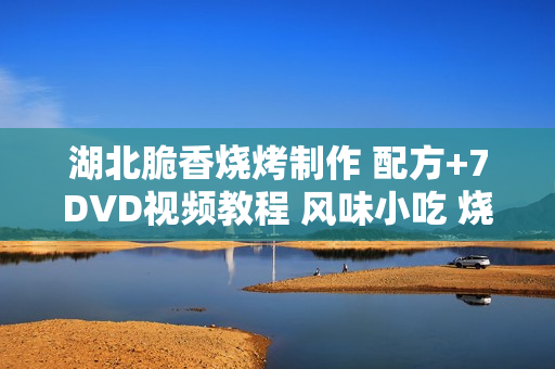 湖北脆香烧烤制作 配方+7DVD视频教程 风味小吃 烧烤小吃制作技术
