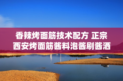 香辣烤面筋技术配方 正宗西安烤面筋酱料泡酱刷酱洒料 培训教程(tbd)