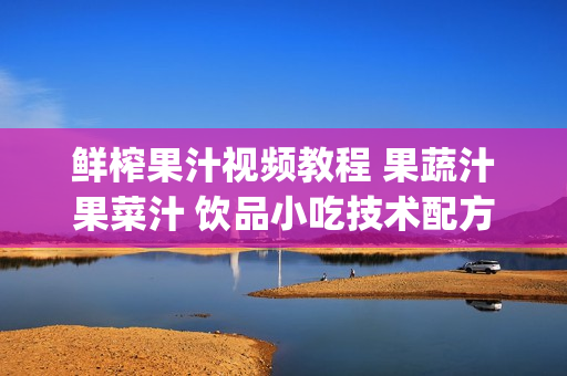 鲜榨果汁视频教程 果蔬汁果菜汁 饮品小吃技术配方饮料大全 950M(tbd)