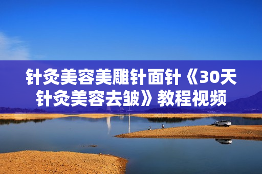 针灸美容美雕针面针《30天针灸美容去皱》教程视频