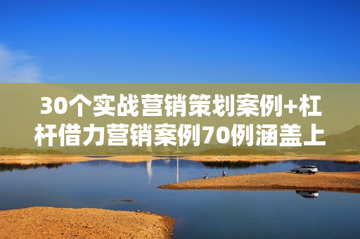 30个实战营销策划案例+杠杆借力营销案例70例涵盖上百个行业行销案例