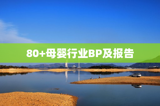 80+母婴行业BP及报告