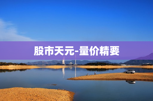 股市天元-量价精要