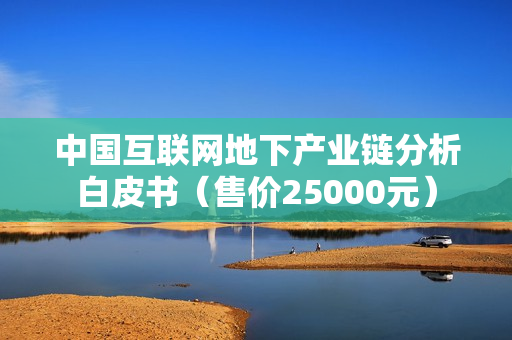 中国互联网地下产业链分析白皮书（售价25000元）