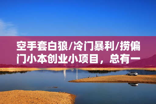空手套白狼/冷门暴利/捞偏门小本创业小项目，总有一款适合你