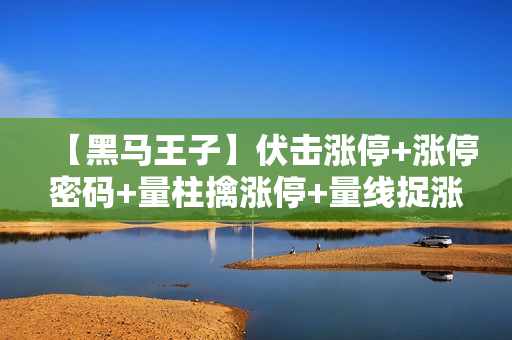 【黑马王子】伏击涨停+涨停密码+量柱擒涨停+量线捉涨停