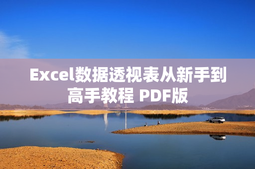 Excel数据透视表从新手到高手教程 PDF版