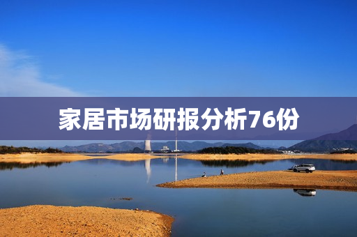 家居市场研报分析76份