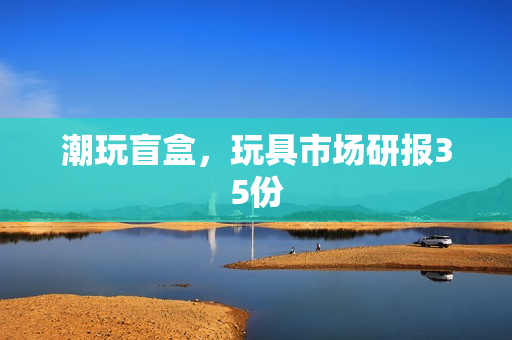 潮玩盲盒，玩具市场研报35份