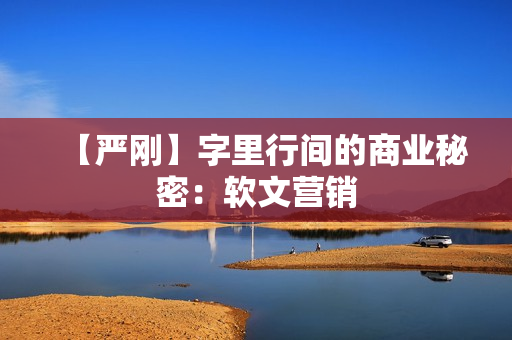 【严刚】字里行间的商业秘密：软文营销