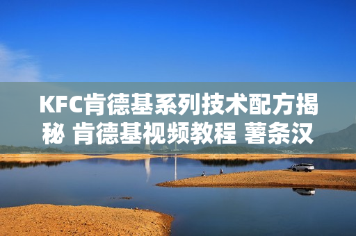 KFC肯德基系列技术配方揭秘 肯德基视频教程 薯条汉堡炸鸡技术