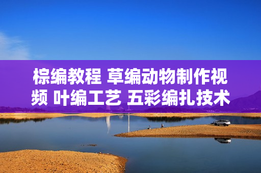 棕编教程 草编动物制作视频 叶编工艺 五彩编扎技术培训教学光盘