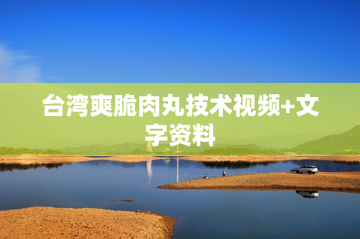 台湾爽脆肉丸技术视频+文字资料