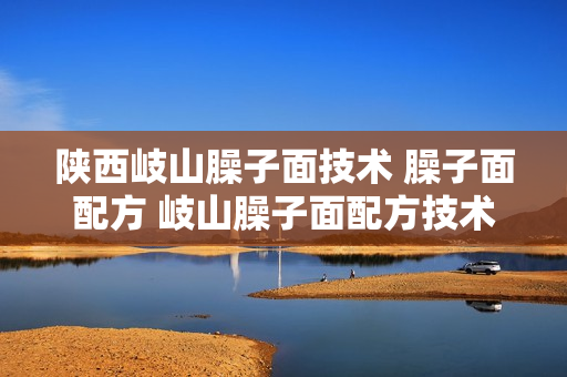 陕西岐山臊子面技术 臊子面配方 岐山臊子面配方技术