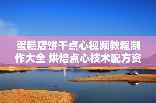 蛋糕店饼干点心视频教程制作大全 烘焙点心技术配方资料