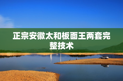 正宗安徽太和板面王两套完整技术