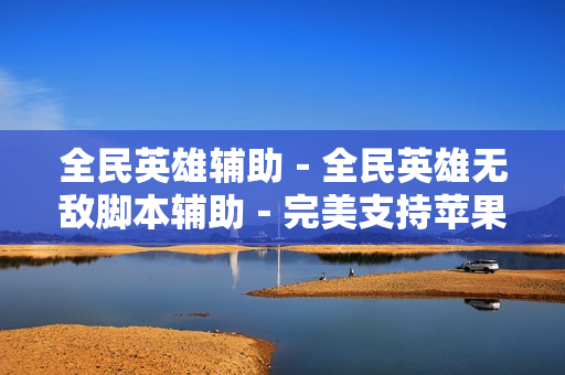 全民英雄辅助－全民英雄无敌脚本辅助－完美支持苹果ios安卓包更新