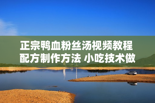 正宗鸭血粉丝汤视频教程 配方制作方法 小吃技术做法传授赚钱秘方