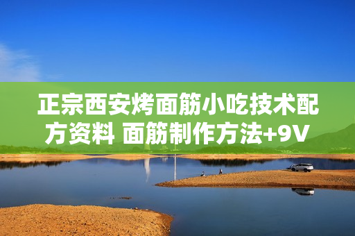 正宗西安烤面筋小吃技术配方资料 面筋制作方法+9VCD视频教程654M