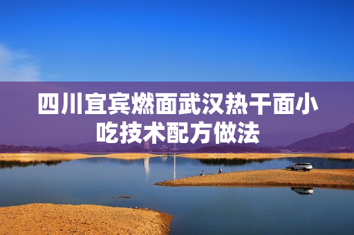 四川宜宾燃面武汉热干面小吃技术配方做法