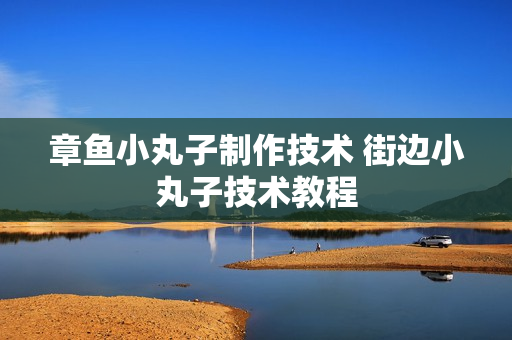 章鱼小丸子制作技术 街边小丸子技术教程