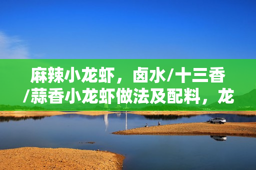 麻辣小龙虾，卤水/十三香/蒜香小龙虾做法及配料，龙隐小吃街教学视频