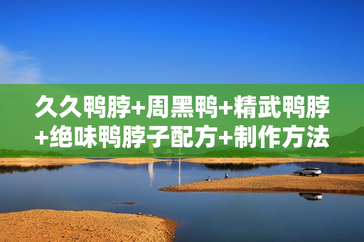 久久鸭脖+周黑鸭+精武鸭脖+绝味鸭脖子配方+制作方法视频教程