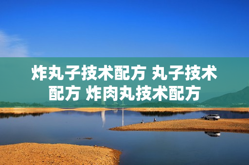 炸丸子技术配方 丸子技术配方 炸肉丸技术配方