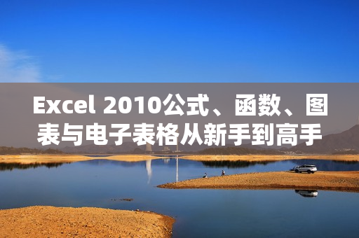 Excel 2010公式、函数、图表与电子表格从新手到高手