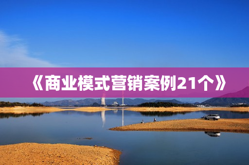 《商业模式营销案例21个》