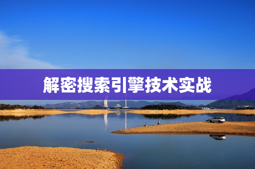 解密搜索引擎技术实战