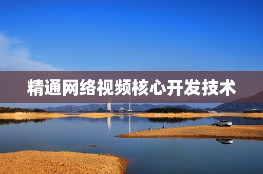 精通网络视频核心开发技术