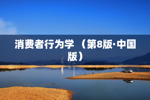 消费者行为学 （第8版·中国版）